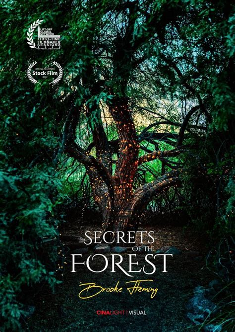 Secrets Of The Forest Betfair